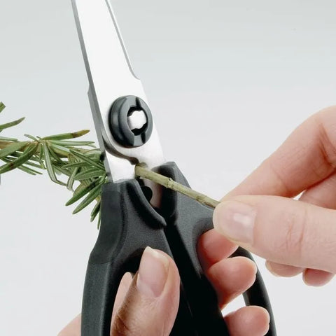 Kitchen And Herb Scissors
