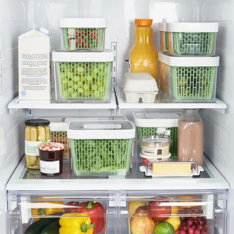 GreenSaver Produce Keeper (4.3 Qt)
