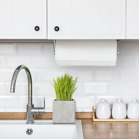 Steady Mounted Paper Towel Holder