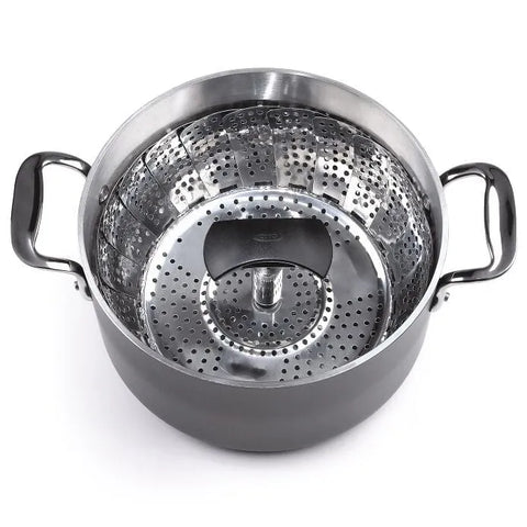 Stainless Steel Steamer with Extendable Handle