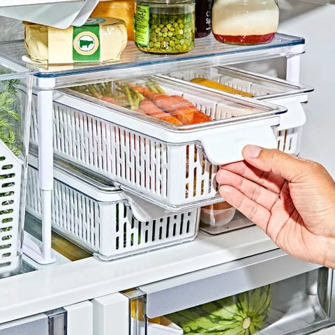 Produce Saver Bin with Filter