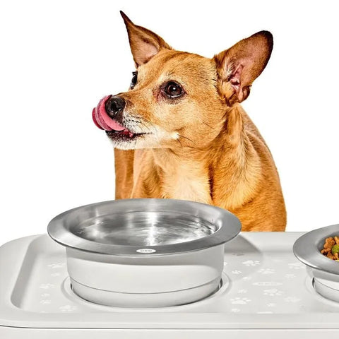 OXO Pet Nonslip Bowl - Medium, 2 Cups / 480 mL